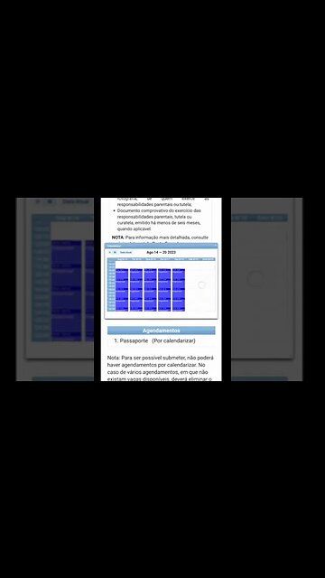 Contact for urgent appointment | Portuguese passport and BI renewal #bharatsamgi #shorts #reels