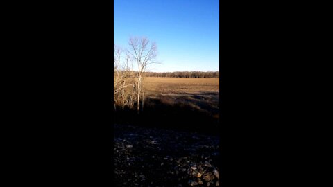 Creek Bottom