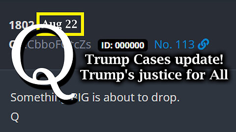 Q Drop Aug 22 - Trump Cases Update! Trump's justice for All