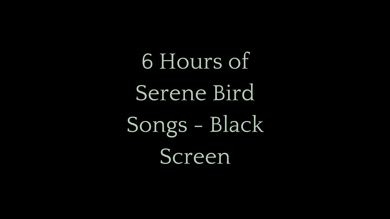 6 Hours of Serene Bird Songs - Black Screen | Nature's Symphony for Relaxation, Sleep & Focus