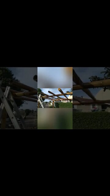 pérgola de bambu @bambu total #shorts