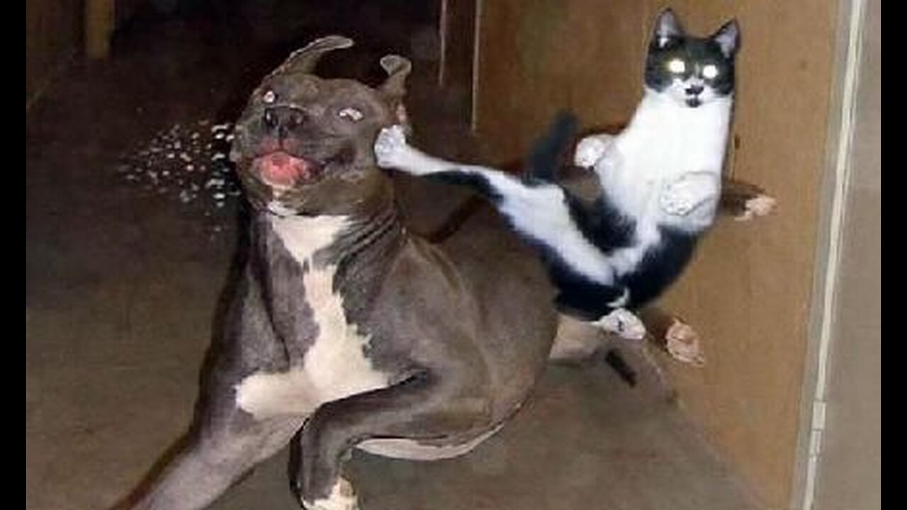 Funny videos Funny pranks Scary people Reaction Octob