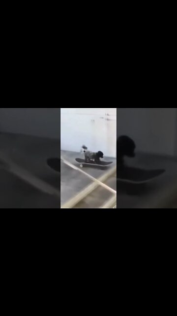 Vou sair para dar um rolê #shorts