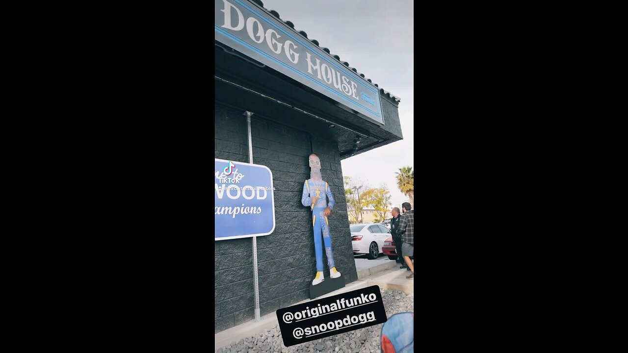 You know Mr.Carter had to pull up to THA @snoopdogg @originalfunko DOGG HOUSE 🐾🔥💙 #funko #funkopop