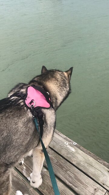 Wednesday Sept 11, A day of Sacrifice