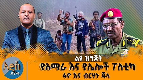 የአማራ እና የሌሎች ፖለቲካ- ፋኖ እና ብርሃኑ ጁላ