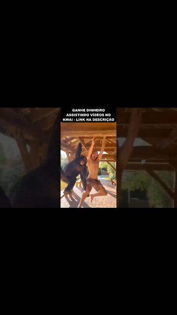 chita conferindo os documentos do Tarzan