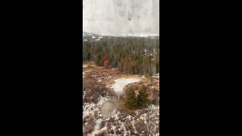 Beautiful in Colorado️!!❄️⛄️