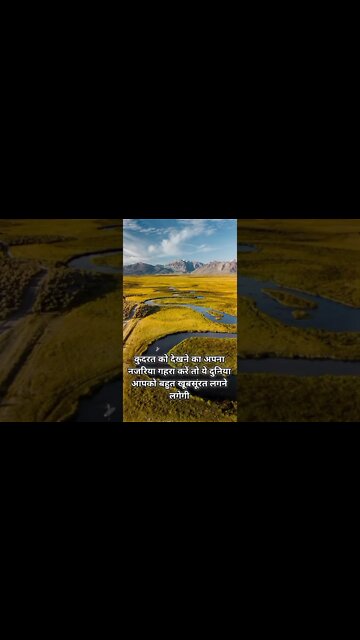 Motivational quotes 5 | Sigma Rules | Respect | #shorts