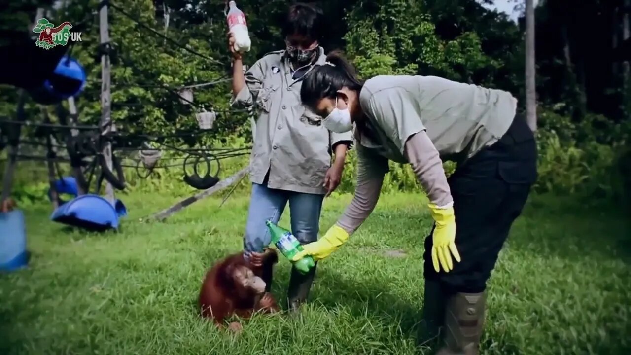 Toddler won't tolerate your 'special diet' milk ruse