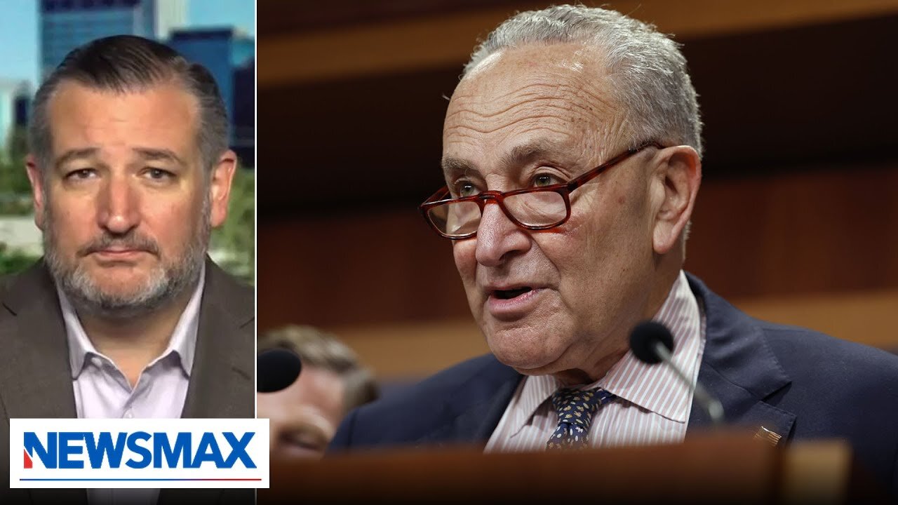 I'm Chuck Schumer's No. 1 target in the country: Ted Cruz | Wake Up America