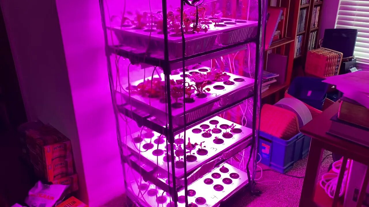 New Kratky Hydroponics Seed Starting System - First Update