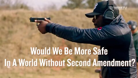 Would We Be More Safe Without The Second Amendment?