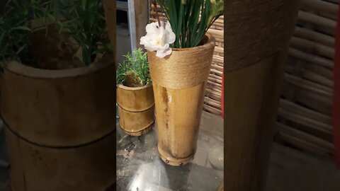 vaso de bambu mosso, taquara