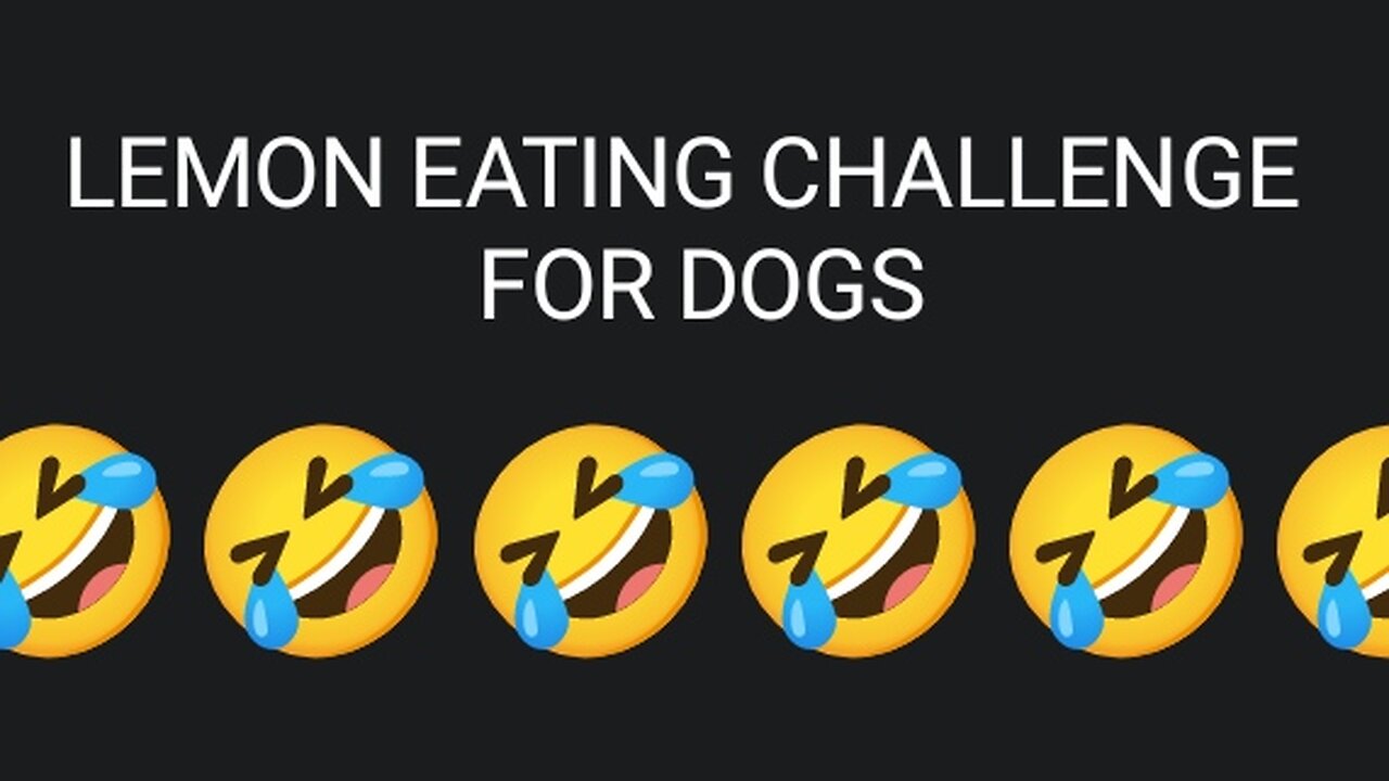 lemon eating challenge for dogs 🤣🤣🤣 funny reaction 🤣