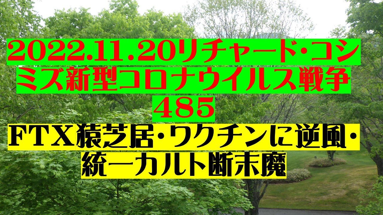 2022.11.20 リチャード・コシミズ新型コロナウイルス戦争４８５