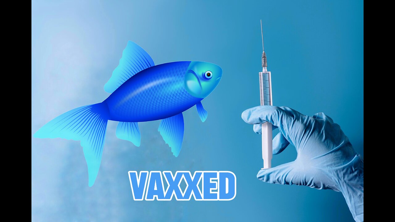 Vaxxing the Fish