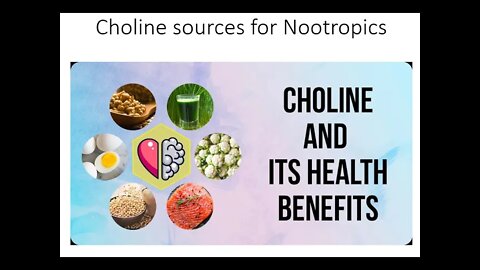Choline sources for nootropics