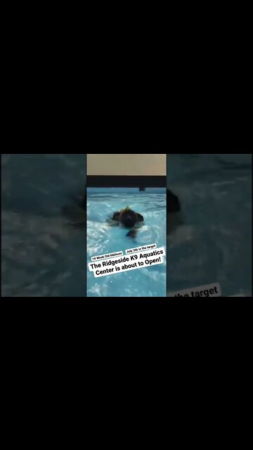 K9 Aquatics Center is about to open!!!