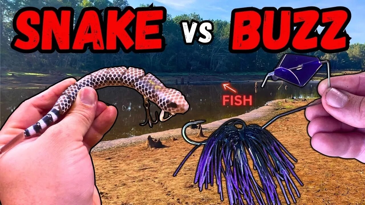 TOPWATER TURMOIL: Snake vs Buzz Bait