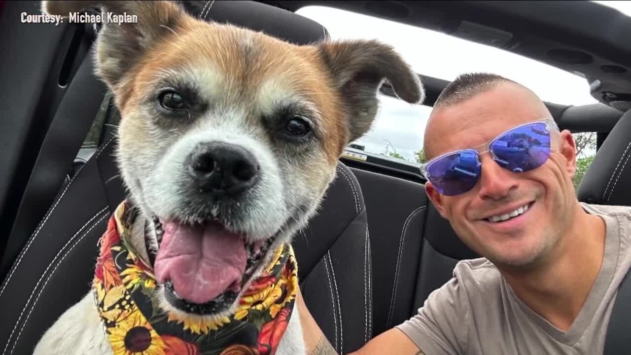 Pet owner believes his dog got seriously sick from red tide; vets warn of serious red tide risks