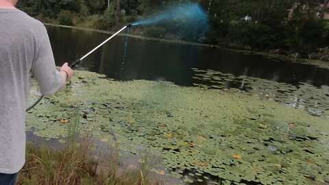 Spraying the Lily Pads by the Pond Dam