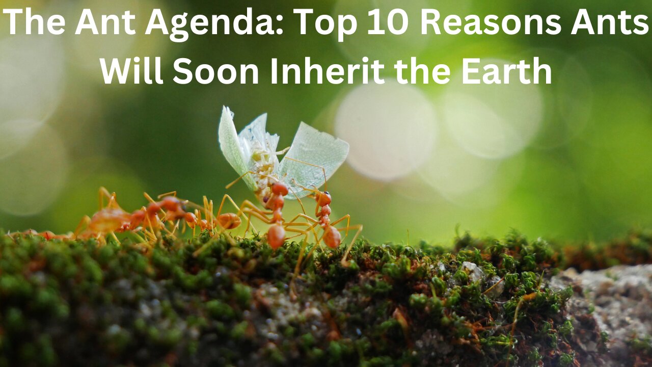 The Ant Agenda: Top 10 Reasons Ants Will Soon Inherit the Earth