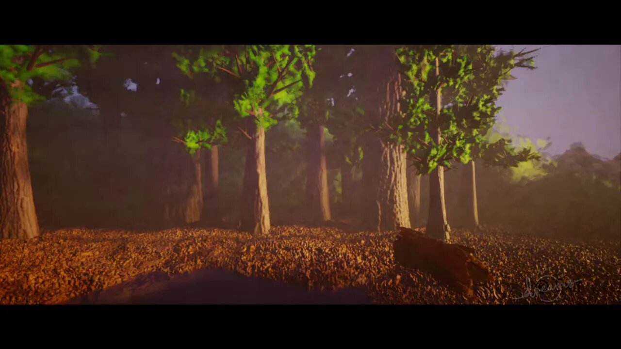 Let's Look at Some Trees | Dreams