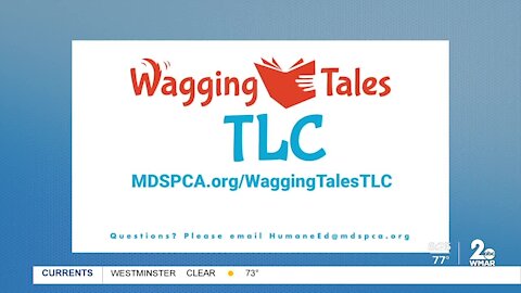 GTK: Wagging Tales Program