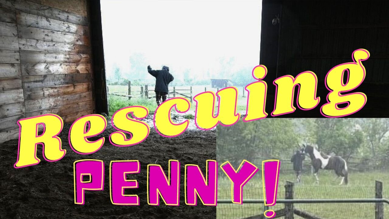 Rescuing My Mare In A Torrential Thunder Storm