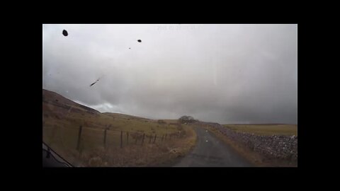 short drive in the dales