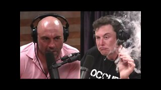 Elon Musk assusta Joe Rogan com conversa sobre I.A ( INTELIGENCIA ARTIFICIAL )