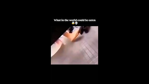 What did he eat ?