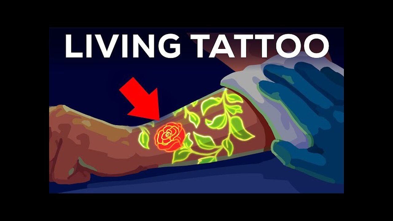 Your Tattoo is INSIDE Your Immune System. Literally