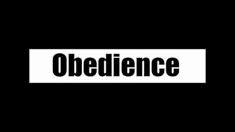 2023-03-05 Obedience