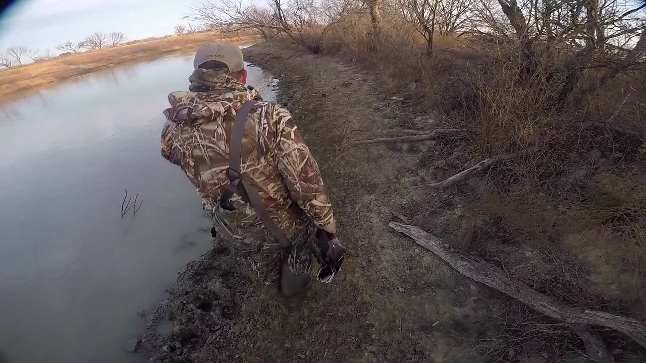 Guided Duck hunt Limit!