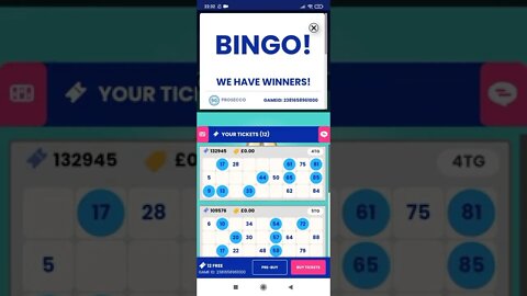Chance win free money. Play bingo( 12 Free tickets, every 30 min )