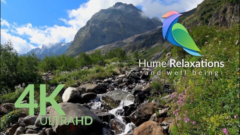 Restful • Relaxing Stream With The Most Beautiful Piano, Soothing Sounds For Rest • Official Soundtrack by Hume