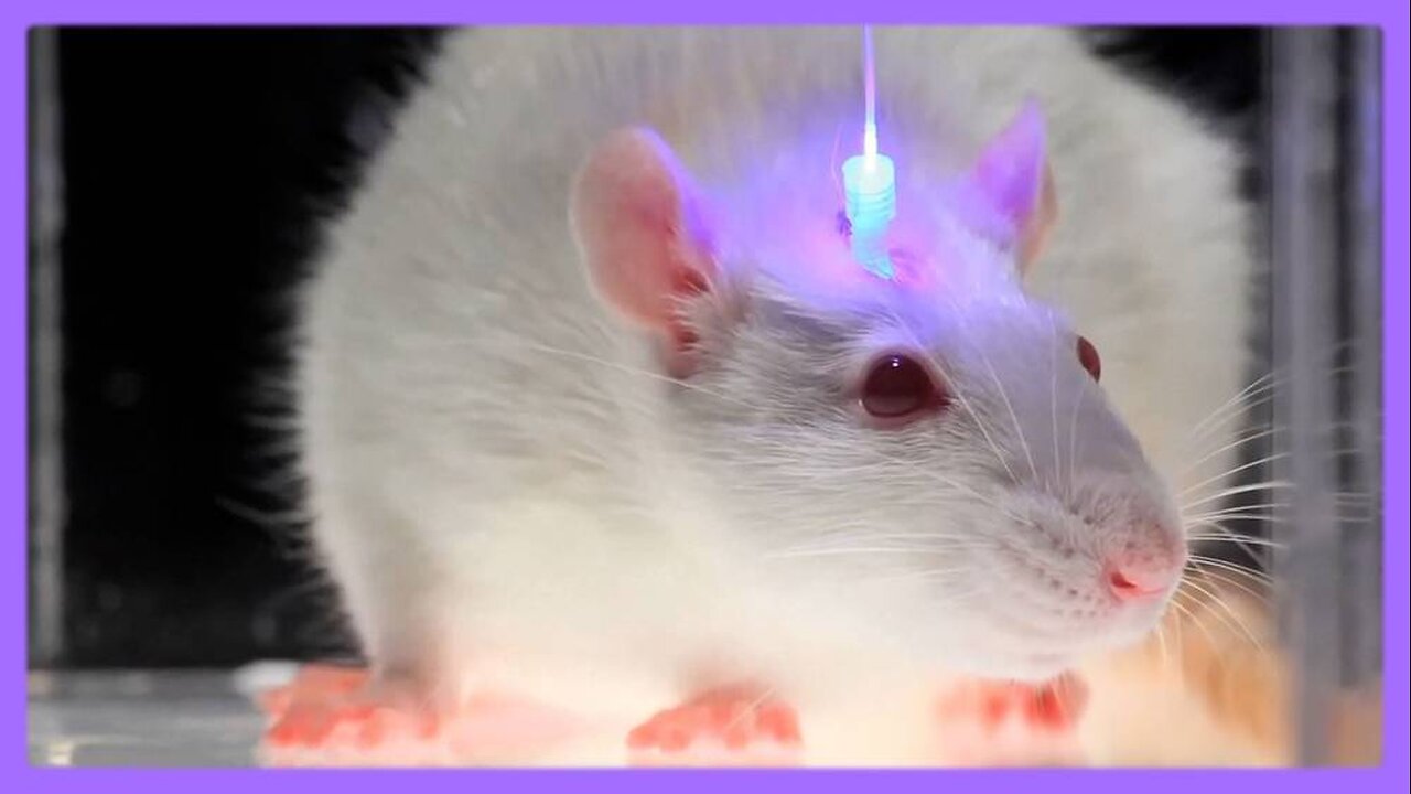 Optogenetics and the Secret Worldwide Nanotech Experiment - INFOWARS Reese Report