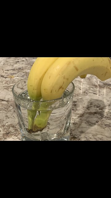 How to Keep Bananas Fresh Longer ?