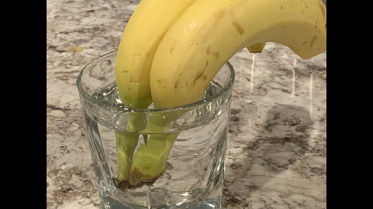 How to Keep Bananas Fresh Longer ?