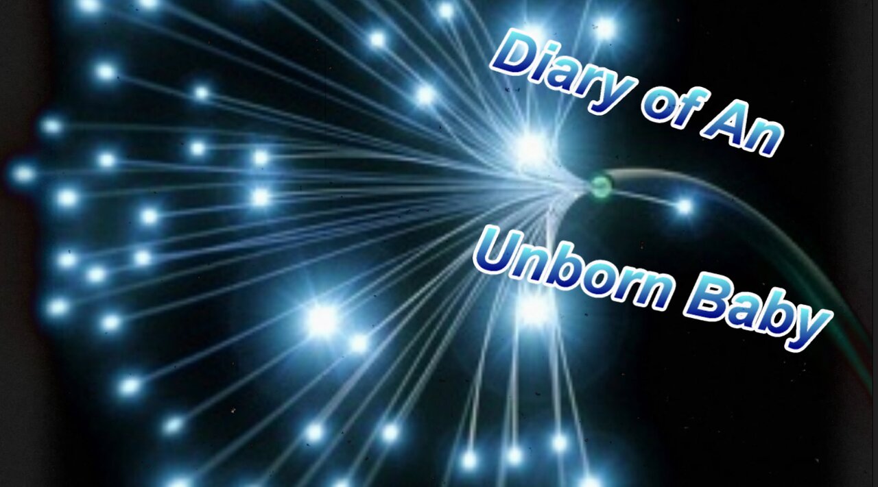 Diary Of An Unborn Baby