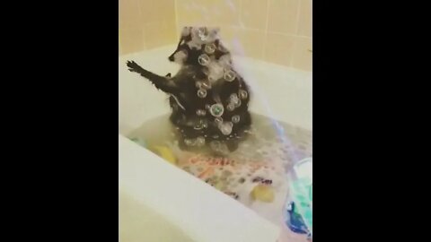 Aww, Now it's shower time