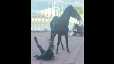Cowboy police