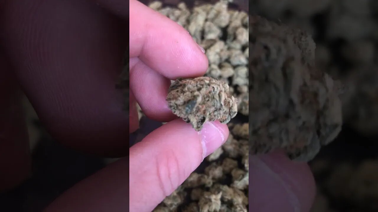 Higher Grade