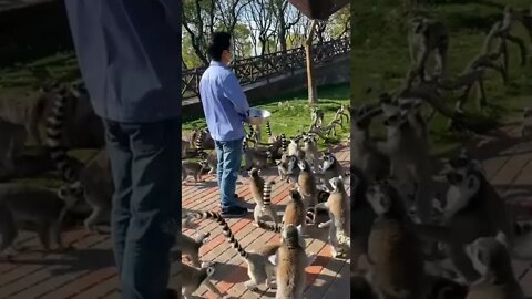 hora de estourar o bixigão em festa de criança 🤣🤣🤣