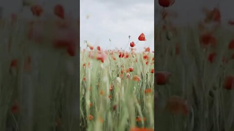 Natureza