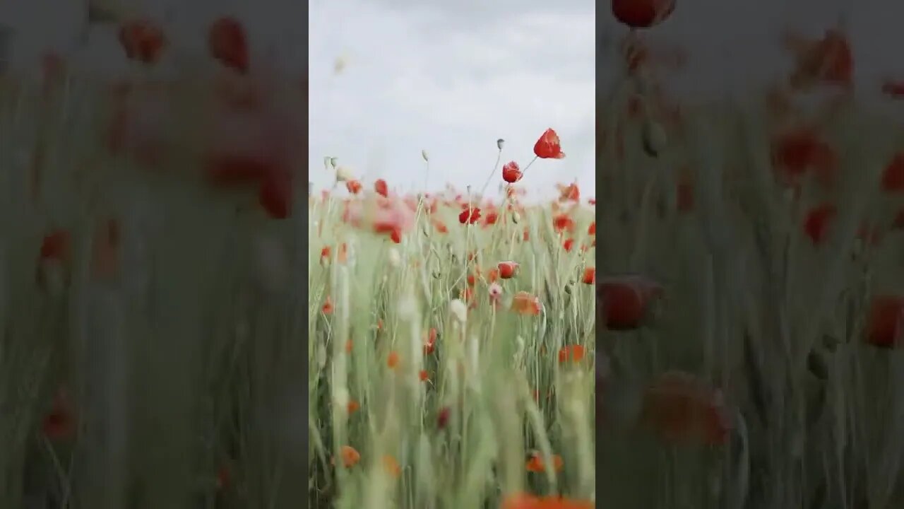 Natureza