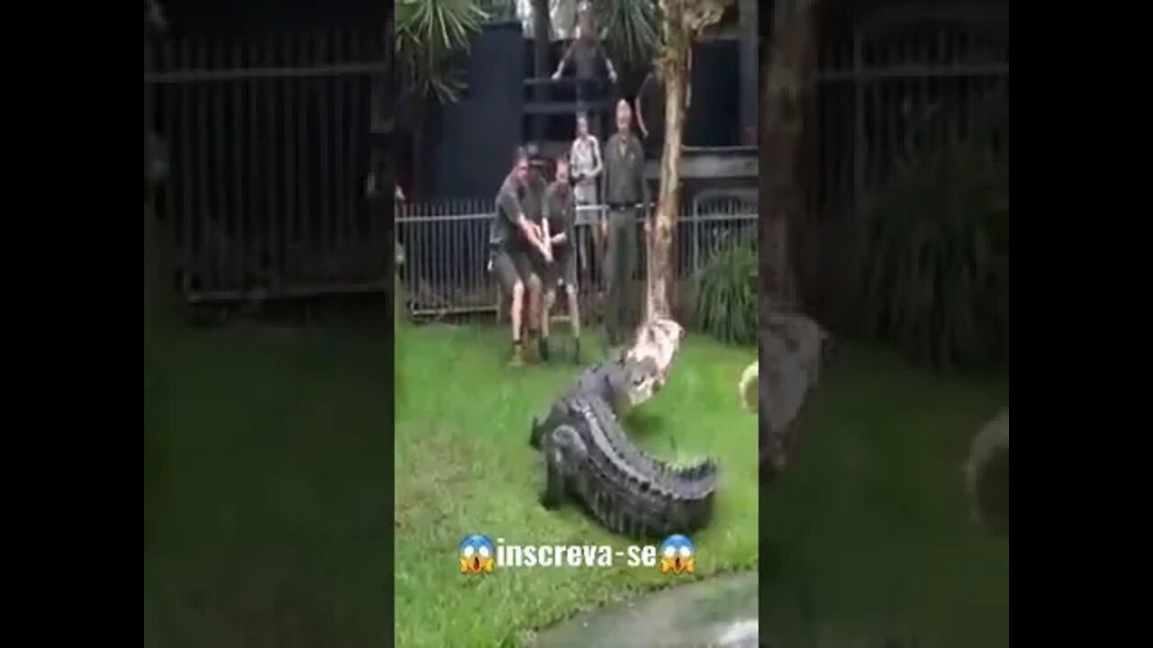 nem pagando eu faço isso #shorts