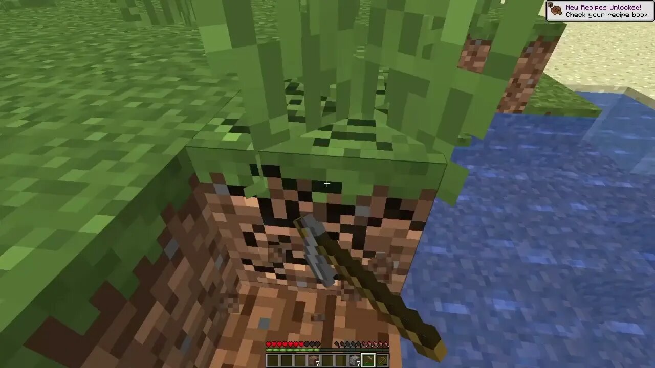 Minecraft Gameplay with AmeerBero